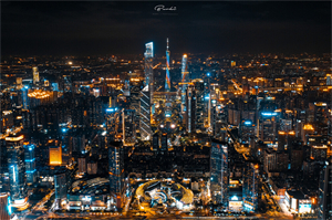 失业现象与社会企业的发展：上海的前景